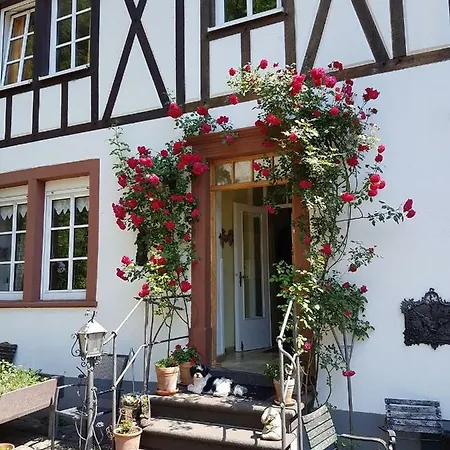 Сasa de vacaciones Beurener Muhle Bad Bertrich