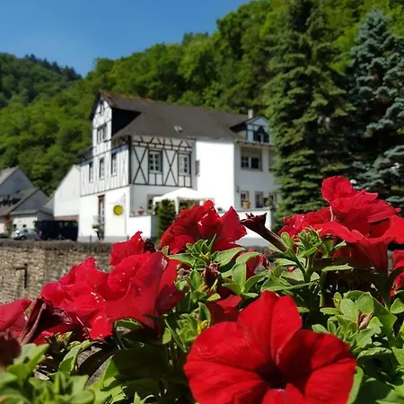 Сasa de vacaciones Beurener Muhle Bad Bertrich