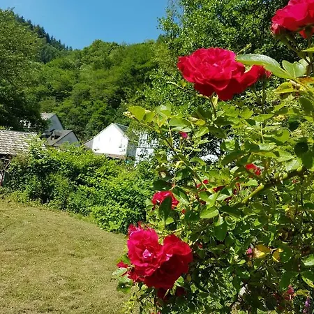 Beurener Muhle Сasa de vacaciones *